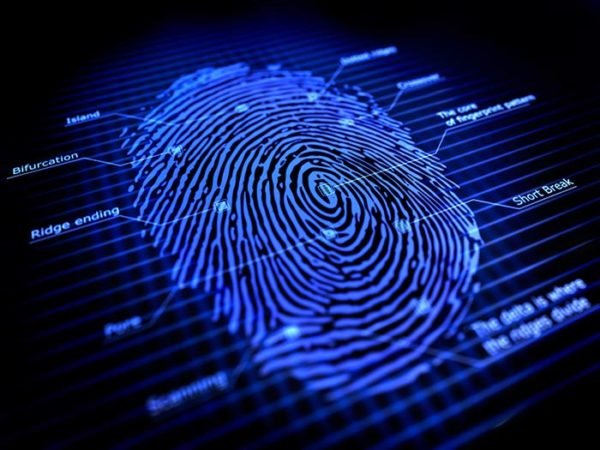 Criminal Investigations