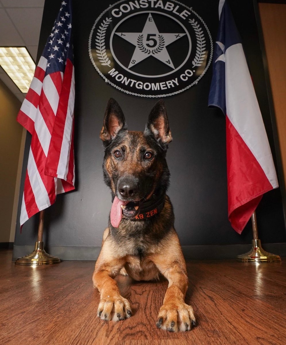 K-9 Unit