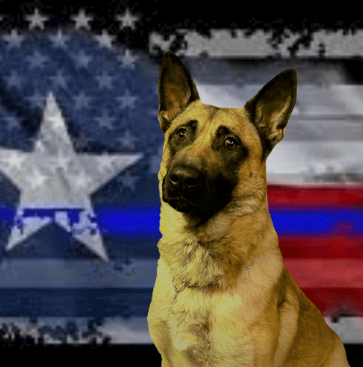 K-9 TUFF